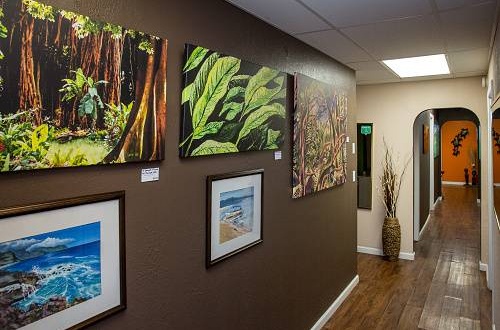 Gallery of local artists