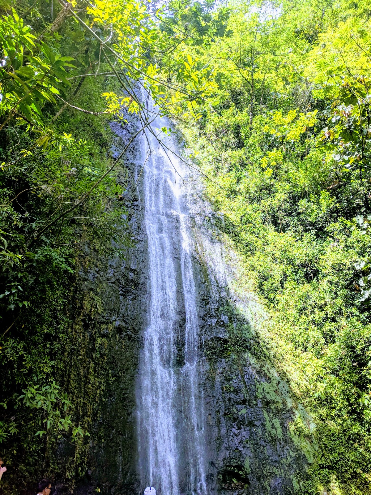 Manoa Falls on Oahu
